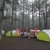 viblant 8th Anniversary Camp 2