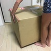 大きな箱が届いた