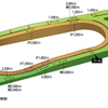 中京競馬場の特徴を知る