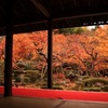 圓光寺の紅葉2020、見頃や現在の状況。十牛の庭で観賞。