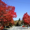 八ヶ岳南麓は紅葉真っ盛り