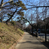 ２月の千鳥が淵、代官町風景