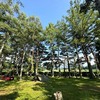 松原湖高原オートキャンプ場の魅力！温泉併設で避暑キャンプに最適！