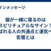 猫が一緒に寝るのはスピリチュアルなサイン？選ばれる人の共通点と運気への影響とは