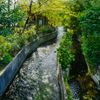 ジオツアー三島　二日町～広小路　用水巡り