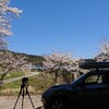 再び長良川鉄道と桜