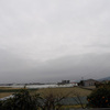 春の日差し