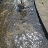 灼熱と水遊び