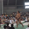 稀勢の里優勝