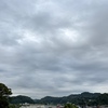 大相撲でみた不屈の闘志にあっぱれ