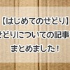 【はじめてのせどり】せどりについての記事をまとめました！