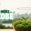 苔×神戸×アートの融合！注目のクリエイティブチーム「MOSS KOBE」の魅力に迫る
