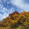 22,Autumn colors 3 … 彩の記 栗駒編 その3