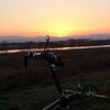 利根川サイクリングロード