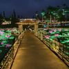 沖縄移住生活　～東南植物楽園　夜の部～