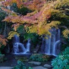 府中郷土の森の紅葉