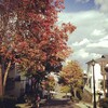 函館山に紅葉を見に行こう