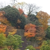 師走の街をあるけば「玉泉院丸庭園」紅葉