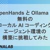 OpenHands と Ollama で無料のローカル AI コーディングエージェント環境の構築に挑戦してみた