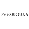 「休日はカフェかNetflix」と思っていたら、みんなプロレス観ていた話
