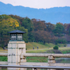 秋の早朝の散歩道　お供はやっぱりお気に入りのオールドNIKKOR 200mm F4