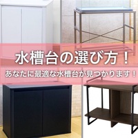 60cm水槽台 Gexアクアラックスチールwtレビュー カスタムしてみた たなごgo