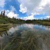 只見川大白沢アサユウ沢～クロウ沢下降（大白沢池・カッパ池・東白沢池・無名湿原巡り）