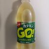 お茶に炭酸！？【カテキンGO!スパークリング】を買ったのでレビュ～