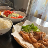 酒、ネコ、朝ドラ