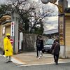 「通し矢」「楊枝のお加持」の日 の 三十三間堂 そしてお堂は無料開放！（リンク）