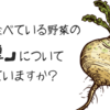 普段食べている野菜の「種」について知っていますか？