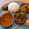 【別府】dancyuカレー特集にも載っていたお店『Curry&Spice青い鳥』