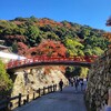 【大阪】『箕面』に紅葉狩りに行ってきました。 女子旅 紅葉  