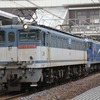 EF510疎開・3075レ・小山疎開・配6794レ・2073レ・宇都宮配給 in大宮駅