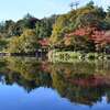 【こども自然公園】無料で小動物と触れ合える大公園！見どころと駐車場は？【横浜市旭区】