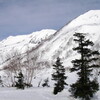 北アルプス白馬　金山沢