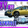 【新型XV】旅行が増えちゃう車だって！！