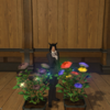 【#FF14】オールドローズを育ててローズカフェを作るぞー！！②