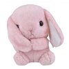 「みみぴょん」と暮らす癒やしの日々：ぽてうさろっぴーぬいぐるみレビュー
