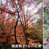 鎌倉アルプス・獅子ヶ谷報告