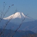 夏と山と音楽