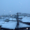 雪の夜は北海道と秋田のコラボラーメン