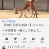 【YouTube】気がついたら100万回再生突破してました【カンガルー】