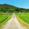 ここはすごく圧巻です！一度は旅行で行きたい場所「高野山・九度山」