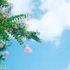 心理学を学ぶにはどうしたらいいですか？
