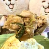 チェンマイMAYAからすぐの”おかみさん食堂”の”鶏もも肉のガパオ炒め”をニャオかなが実食調査！