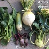 珍しい野菜たち