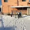 大雪の影響および診察状況