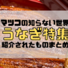 【マツコの知らない世界】高城さん絶賛のうなぎの世界で紹介されたお店まとめ