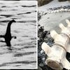 イギリスのネッシーが死んだ？